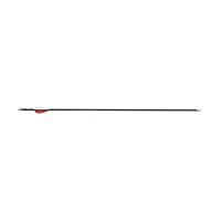 Algopix Similar Product 15 - Allen Fearless Youth Fiberglass Target