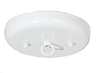 Algopix Similar Product 19 - BP Lamp 5 14 Inch Steel Canopy Kit