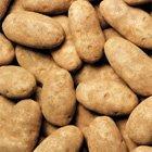 Algopix Similar Product 5 - Russet Idaho Potatoes Fresh Premium