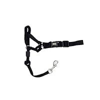 Algopix Similar Product 17 - Coastal  Walk n Train  Dog Head
