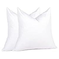 Algopix Similar Product 17 - puredown 18 x 18 Decorative Feather
