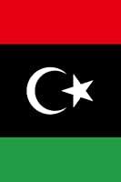 Algopix Similar Product 6 - Flag of Libya: 100 Page Notebook Journal