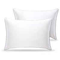 Algopix Similar Product 12 - WENERSI Premium Feather Down Pillows