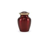 Algopix Similar Product 20 - Near  Dear Pet Memorials Classic Brass