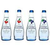 Algopix Similar Product 9 - Clearly Canadian Sparkling Flavored