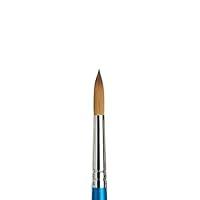 Algopix Similar Product 5 - Winsor  Newton Cotman Water Colour