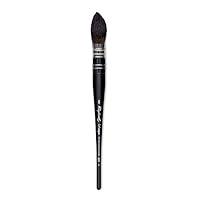 Algopix Similar Product 2 - Raphael Soft Aqua Brushes  Quills 