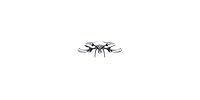 Algopix Similar Product 5 - Quadcopter Hylander with Camera