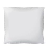 Algopix Similar Product 2 - Square Down Alternative Throw Pillow