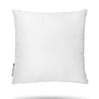Algopix Similar Product 6 - Pal Fabric Square Sham Pillow Insert