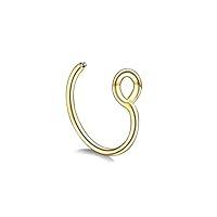 Algopix Similar Product 8 - Faux Gold and Silver Tiny Nose Rings