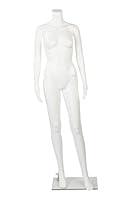 Algopix Similar Product 19 - Female Headless White Plastic Mannequin