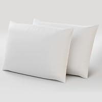 Algopix Similar Product 1 - Niagara 2 Pack of Pillow Protectors