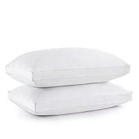 Algopix Similar Product 1 - puredown Goose Feather Down Pillow