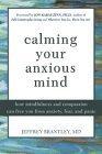 Algopix Similar Product 11 - Calming Your Anxious Mind How