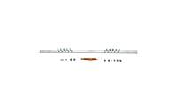 Algopix Similar Product 1 - Panduit RGRB19U Grounding Busbar Kit