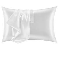 Algopix Similar Product 5 - CozyLux Silk Satin Pillowcase for Hair