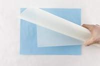 Algopix Similar Product 19 - 8 Sheets  10 mil Mylar  12 x 175
