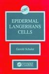 Algopix Similar Product 19 - Epidermal Langerhans Cells