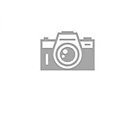 Algopix Similar Product 14 - Gen7 Pet G6100HB Pet Supplies Cat