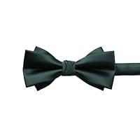 Algopix Similar Product 3 - CHENATING Bowtie For Men Wedding