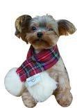 Algopix Similar Product 5 - Snow Shepherd SW1502 4 x 32 in Pets