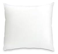 Algopix Similar Product 7 - Foamily Throw Pillows Insert 24 x 24