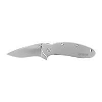 Algopix Similar Product 15 - Kershaw Scallion Stainless Steel Frame