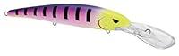 Algopix Similar Product 9 - SPRO Fishing SMEM120CTP Madeye Minnow