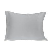 Algopix Similar Product 16 - Spasilk Pure Silk Pillowcase Charmeuse