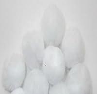 Algopix Similar Product 3 - White 1 1/2" Pom Pom