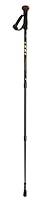 Algopix Similar Product 20 - Leki Sierra SAS Trekking Pole