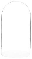 Algopix Similar Product 4 - Plymor 55 x 10 Glass Display Dome