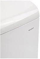 Algopix Similar Product 13 - Geberit scacas0010ca AP110 Rinsing