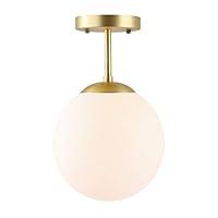 Algopix Similar Product 14 - Light Society Zeno Globe Semi Flush