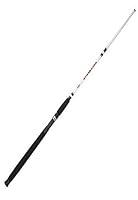 Algopix Similar Product 9 - Berkley 66 Big Game Casting Rod One