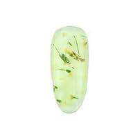 Algopix Similar Product 10 - Love In Bloom LEDUV Soak Off Gel