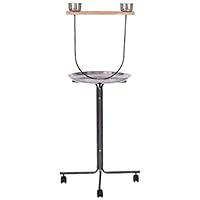 Algopix Similar Product 11 - Giantex Bird Play Stand 51 inch Large