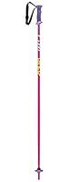 Algopix Similar Product 9 - LEKI Rider Ski Pole Pair  Kids Purple