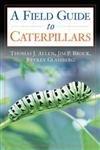 Algopix Similar Product 8 - Caterpillars in the Field and Garden A