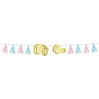 Algopix Similar Product 14 - Blue  Pink Gender Reveal Tissue