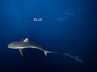 Algopix Similar Product 15 - Call of the Blue