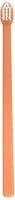 Algopix Similar Product 15 - CET Pet Toothbrush