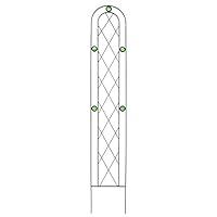Algopix Similar Product 3 - Arcadia Garden Products TR02 Emerald