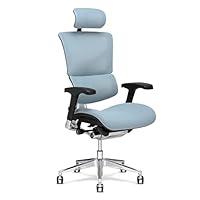 Algopix Similar Product 17 - XChair X3 Management Office Chair