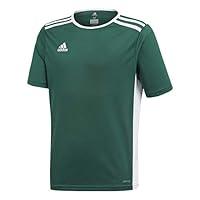 Algopix Similar Product 12 - adidas boys Entrada 18 Jersey Shirt