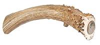 Algopix Similar Product 12 - Big Dog Antler Chews  XL Deer Antler