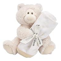 Algopix Similar Product 18 - GUND Baby Flappy The Elephant Stuffed