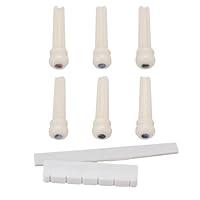 Algopix Similar Product 10 - Yibuy Slotted Bone Bridge Saddle  Nut