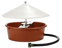 Algopix Similar Product 12 - Little Giant Automatic Poultry Waterer